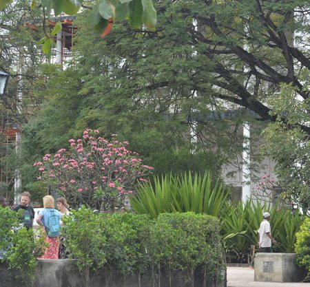 Stone Town and Prison Island Tour