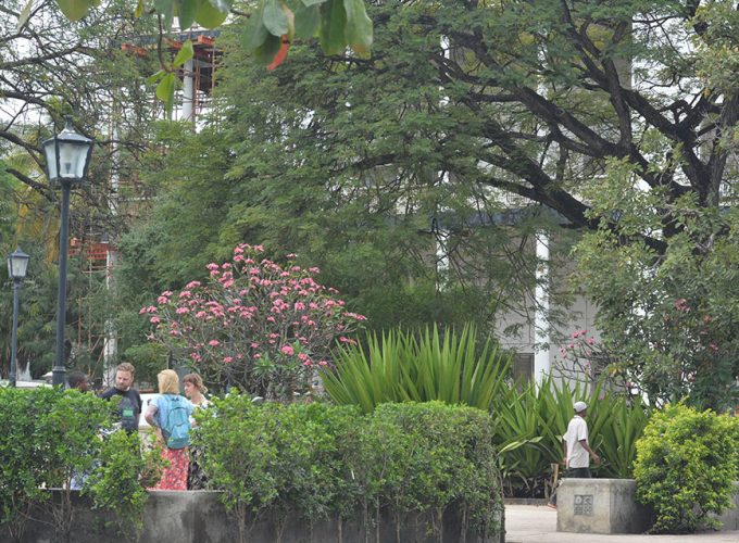 Stone Town and Prison Island Tour