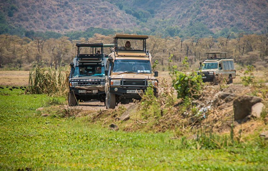 Day Trip Safari From Dar Es Salaam