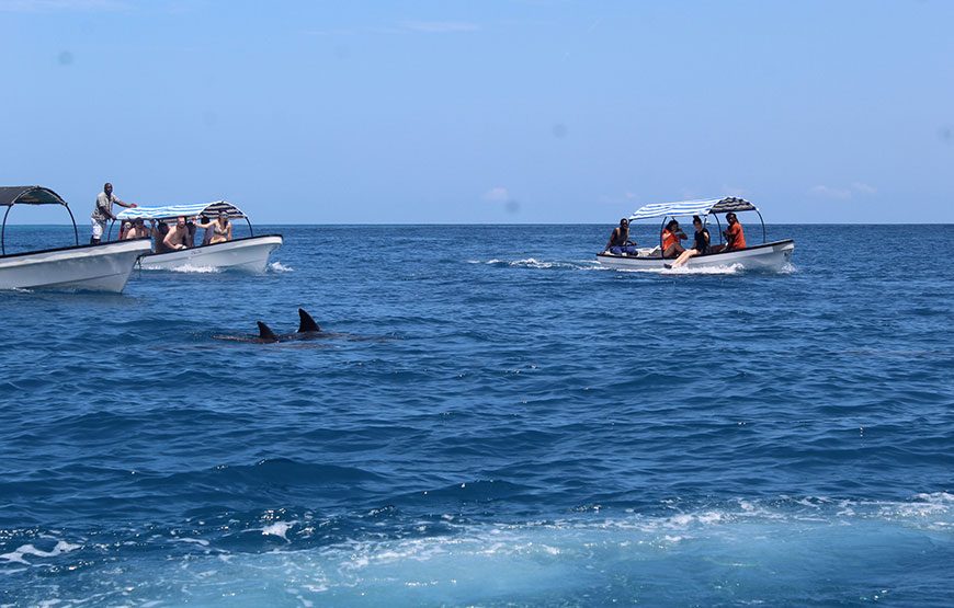 Snorkeling Mnemba Atoll