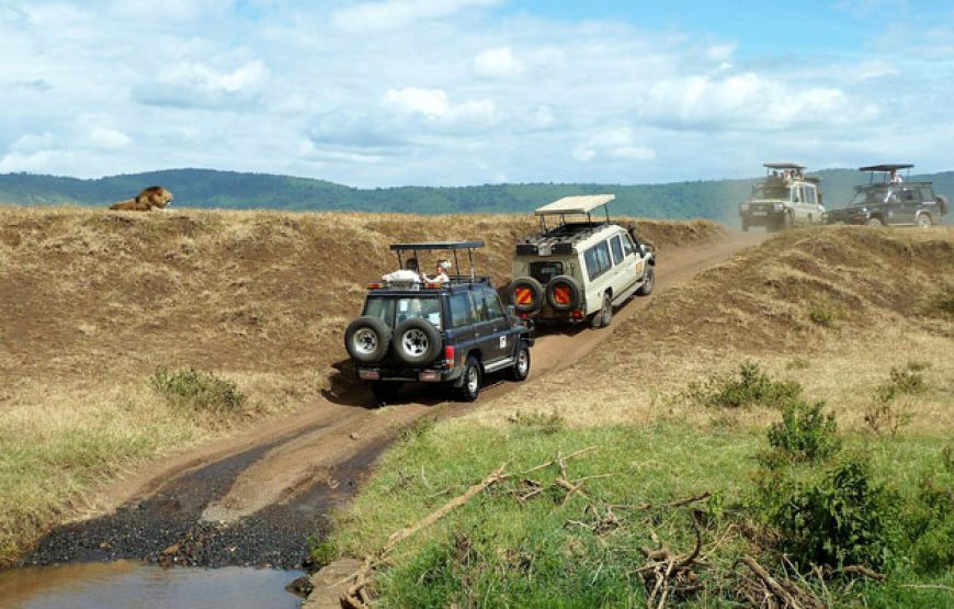 Day Trip Safari From Dar Es Salaam