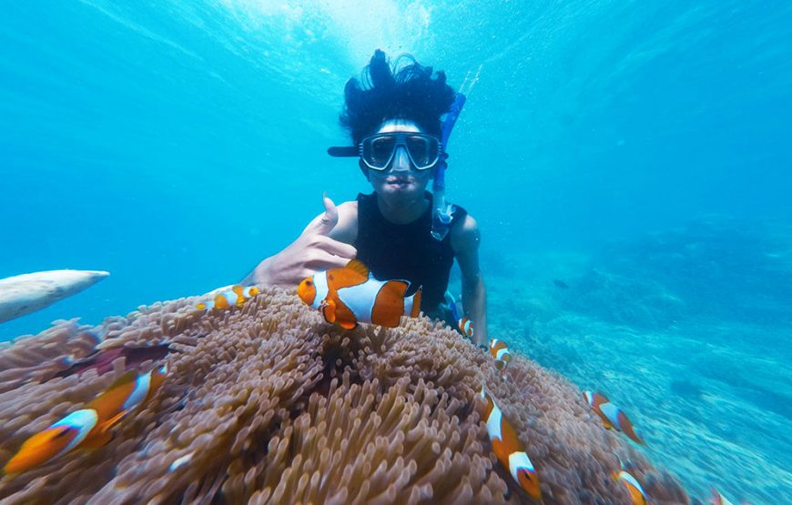 Snorkeling Matemwe