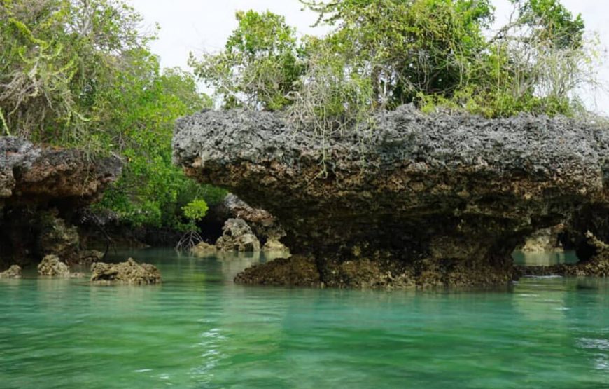 Safari Blue Zanzibar