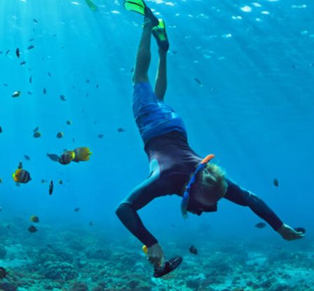 Snorkeling in mafia island