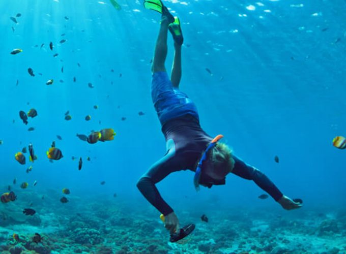 Snorkeling in mafia island