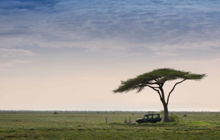 3 Days 2 Nights Central Serengeti