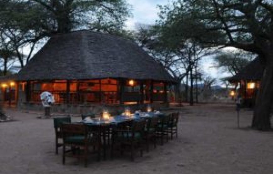 2 Days Ruaha National Park