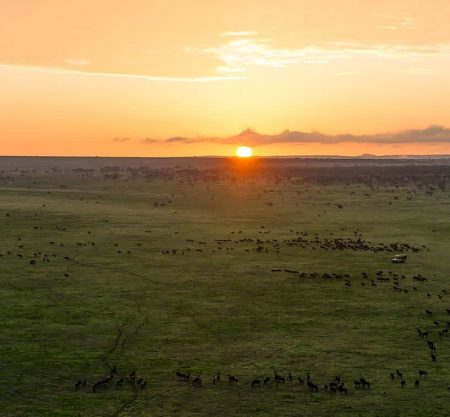 3 Days 2 Nights Central Serengeti