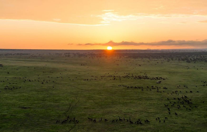 3 Days 2 Nights Central Serengeti