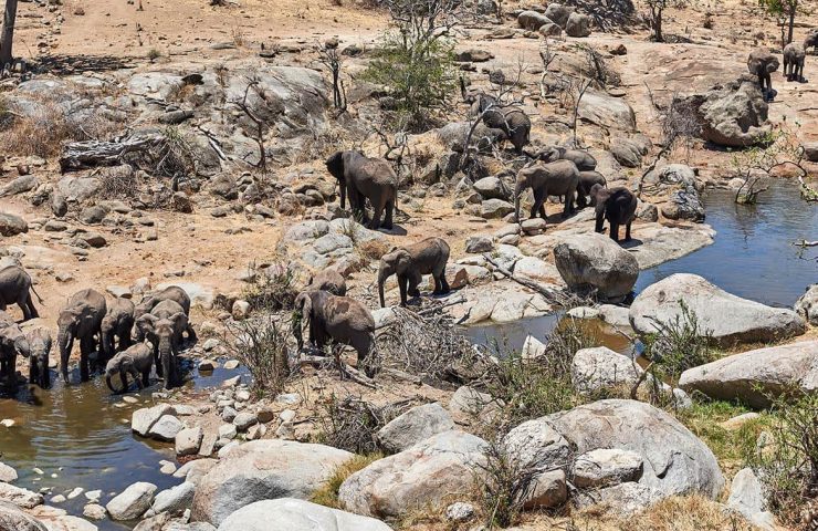 Best National Parks in Tanzania