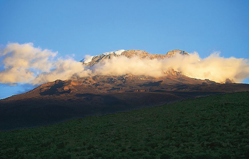 7 Days Kilimanjaro Machame Route