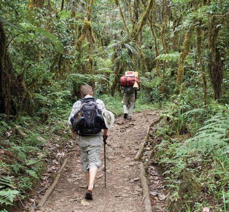 Kilimanjaro Day Trip