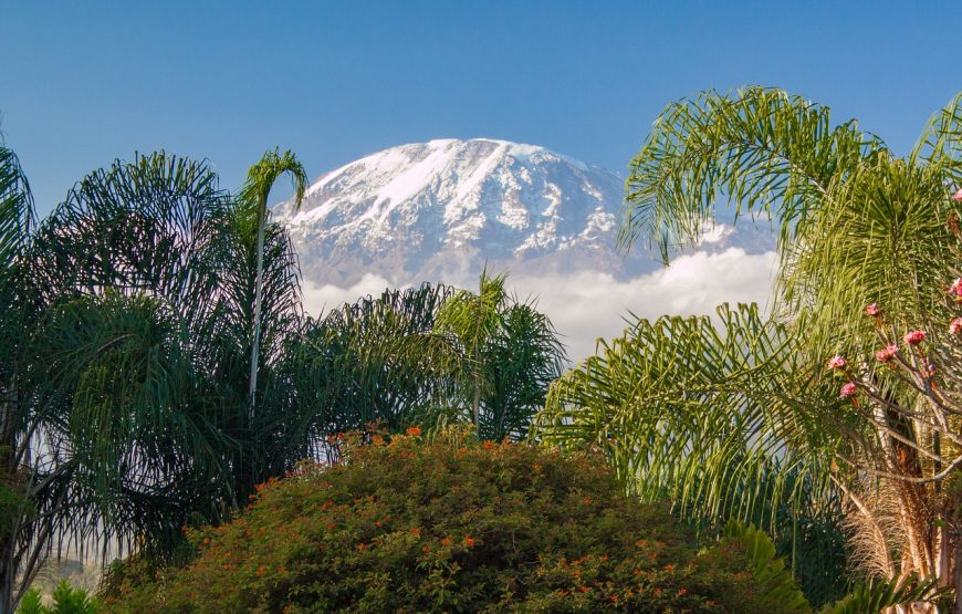 5 Days Kilimanjaro Marangu Route