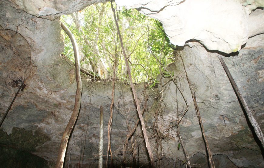 Kiwengwa Caves