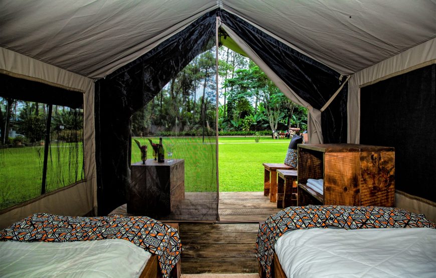 Safari Tent