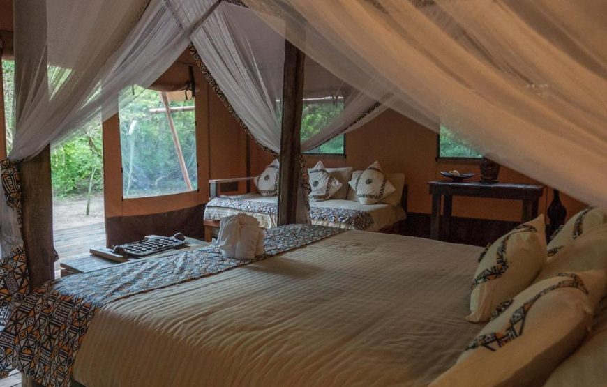 Safari Luxury Glamping