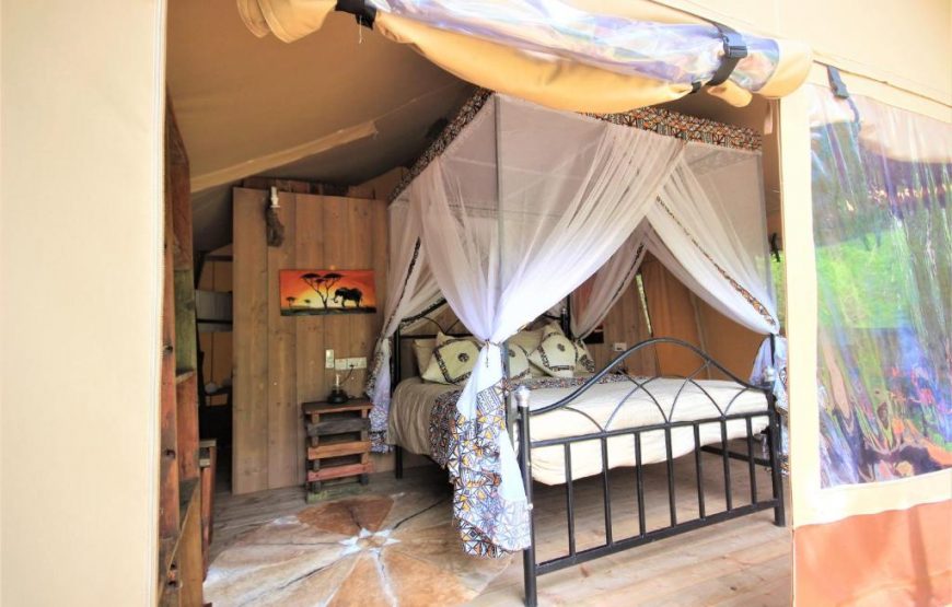 Safari Luxury Glamping