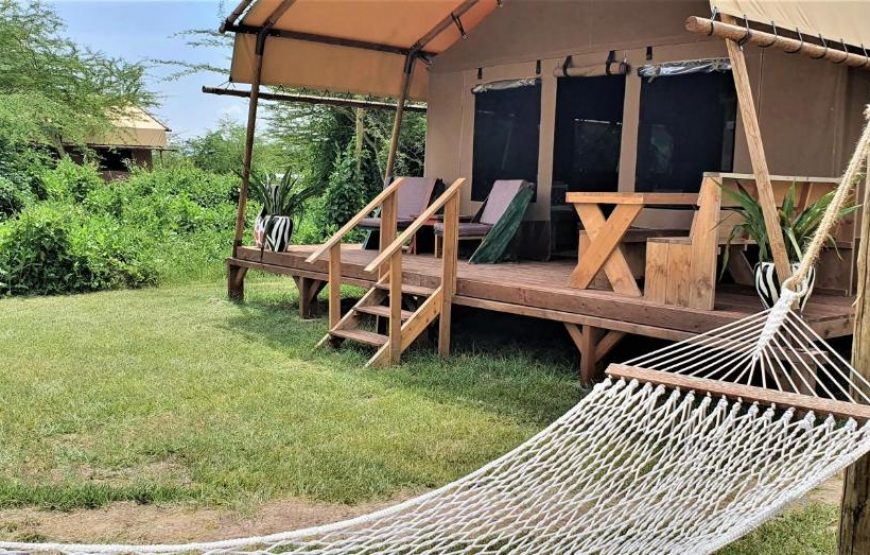 Safari Luxury Glamping