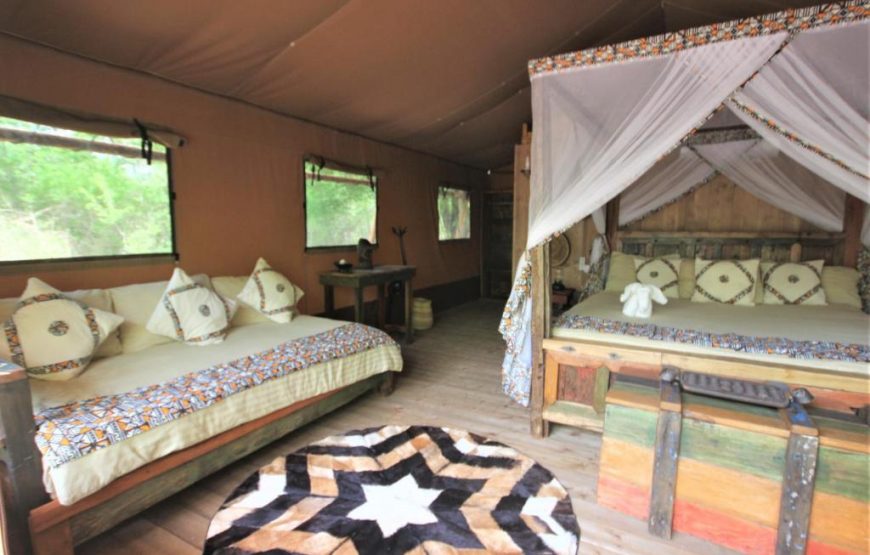 Safari Luxury Glamping