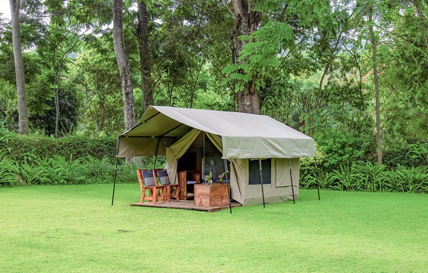 Safari Tent