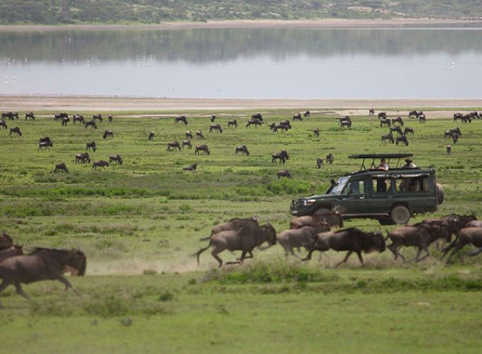 4 Days Serengeti National Park