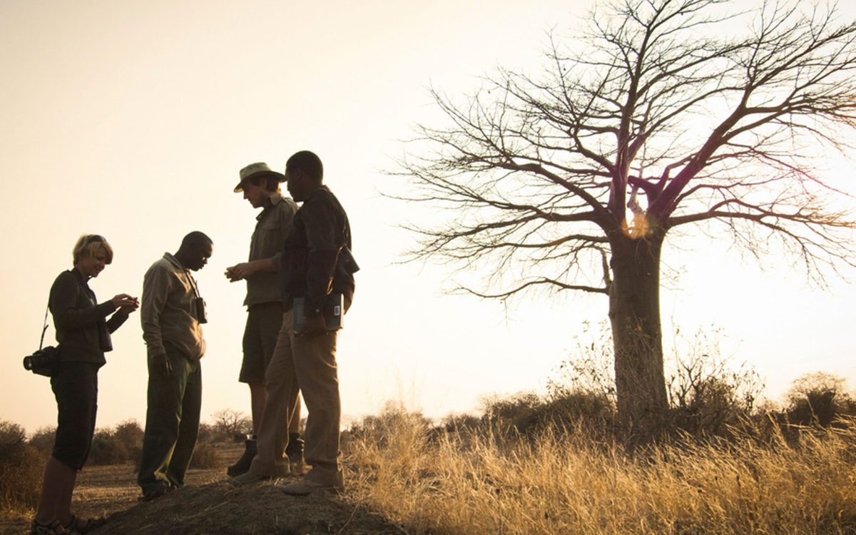 Tanzania National Park