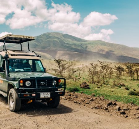 1 Day Serengeti Safari