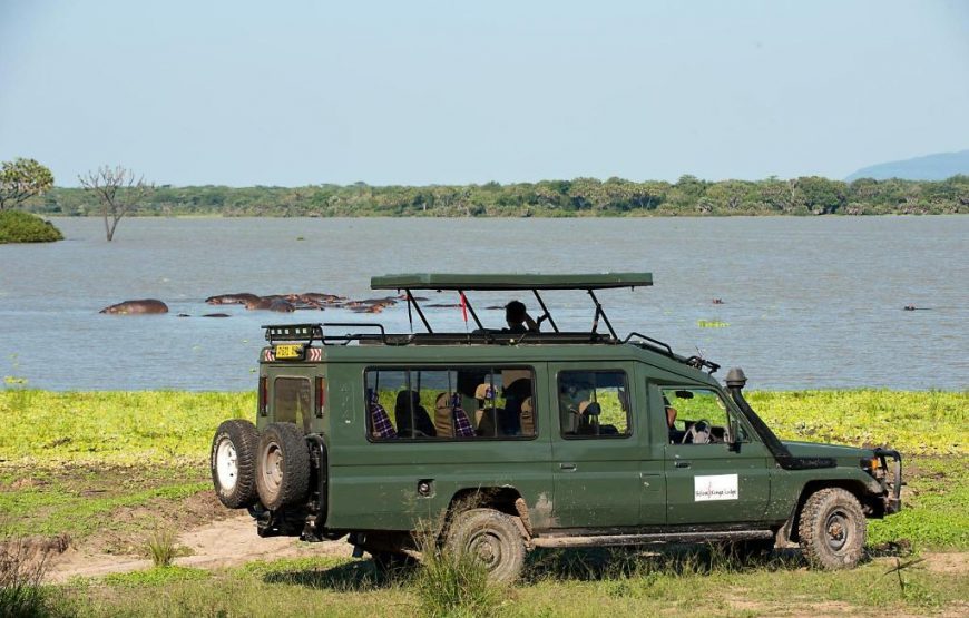 4 Days Selous Flying Safari